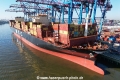 MSC Darlene (KB-D280425-02).jpg