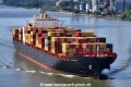 MSC Catherine 6 310724-1.jpg
