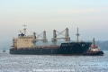 Interlink Levity (KB-D231019-01).jpg