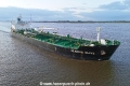Seaways Olive TL-101024-5.jpg