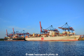 NYK Ibis + OOCL Egypt (KB-D120716-01).jpg