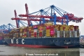 MSC Clorinda (KB-D050226-03).jpg