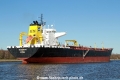 Seasprat JB-110314-02.jpg