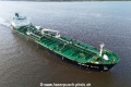 Seaways Olive TL-101024-7.jpg