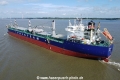 Irma TL-230823-7.jpg