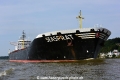 Seasprat 240916-11.jpg