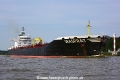 Seasprat 240916-06.jpg