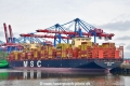 MSC Gioia Tauro (KB-D310526-05).jpg