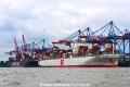 NYK Ibis + OOCL Egypt 120716-04.jpg