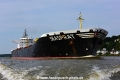 Seasprat 240916-13.jpg
