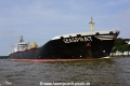Seasprat 240916-09.jpg