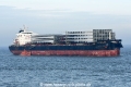 SSI Excellent JG-170126-2.jpg