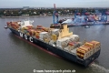 MSC Gaia 171022-4.jpg