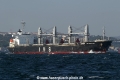 IVS Nightjar (250706-4-MS).jpg