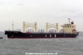IVS Swift JS-130904.jpg