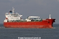 Silver Gertrude SH-050316-01.jpg