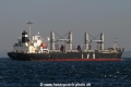 IVS Nightjar (250706-6-MS).jpg