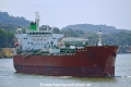 Silver Dover OS-080318-03.jpg
