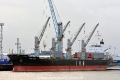 IVS Ibis (KB-D111214-01).jpg