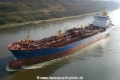 Moyra (MS-190206-11).jpg
