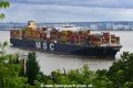 MSC Irene 070722-4.jpg