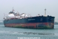 Proteus Philippa TL-060226-1.jpg