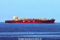MSC Manzanillo V TL-140626-1.jpg