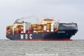 MSC Maxine JG-190726-1.jpg