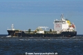 Poestella JG-090426-1.jpg