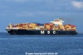 MSC Paris JG-240726-1.jpg
