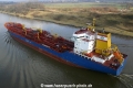 Moyra (MS-190206-14).jpg