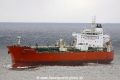 Silver Manoora (LW-280922-01).jpg