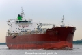Silver Ervilia (MM-170622-1).jpg
