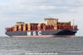 MSC Viola JG-080626-2.jpg