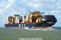 MSC Sary (LW-190726-04).jpg