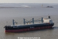 Japin Arrow (MM-080314-2).jpg