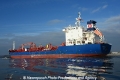 Murray Star 151112-11.jpg