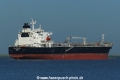 Solar Melissa (KK-160621-2).jpg
