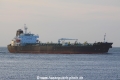 Silver Point (JS-280814-01).jpg