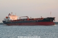 MTM Tokyo KH-240822-4.jpg