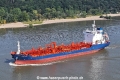 Murray Star 110923-3.jpg