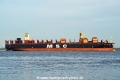 MSC Tanzania JP-300526-01.jpg
