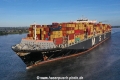 MSC Lauren KH-020822-6.jpg