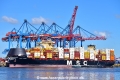 MSC Togo (KB-D070526-01).jpg