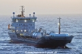 Astina TL-280123-1.jpg