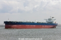 Front Prince (MM-180718-1).jpg