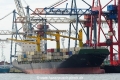 Artenos (KB-D100616-01).jpg