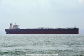 Front Princess OS-021019-06.jpg