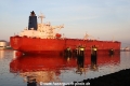 Bluefin Pearl TL-270325-3.jpg