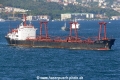 Laila Queen (LW-080906-1).jpg